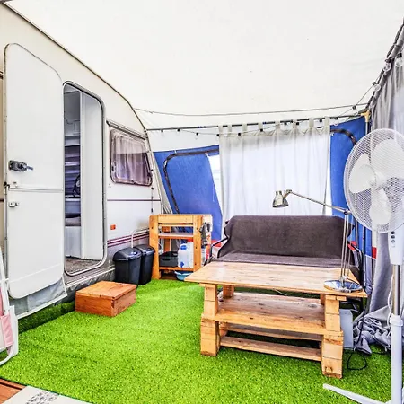 Surfwioska By Q4camp